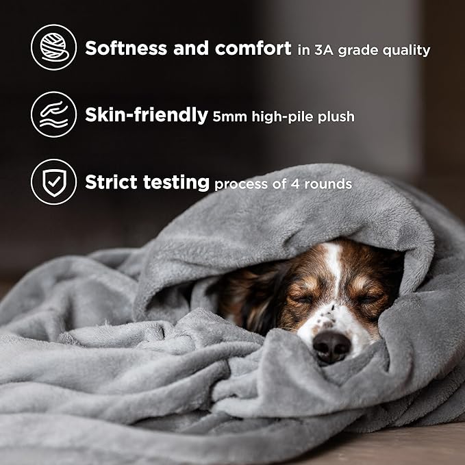 Bedsure GentleSoft Fleece Bed Blankets Queen Size Grey - Soft Lightweight Plush Fuzzy Cozy Luxury Fall Blanket Microfiber, Room Home Decor Gifts for Women and Men, 90x90 inches