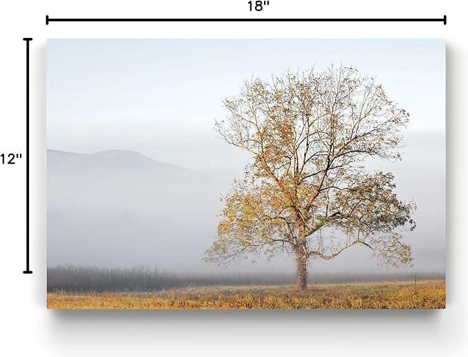 Renditions Gallery Nature Wall Art Pictures & Prints Standalone Tree with Faded Mountain Canvas Hanging Artwork for Bedroom Living Room Office Decorations - 12"X18" LT08