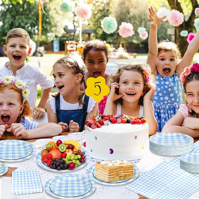 180Pcs Blue Gingham Party Supplies Paper Plates and Napkins Serve 60 Disposable Tableware Set for Birthday Party Decorations Game Day Family School Holiday Sports Events