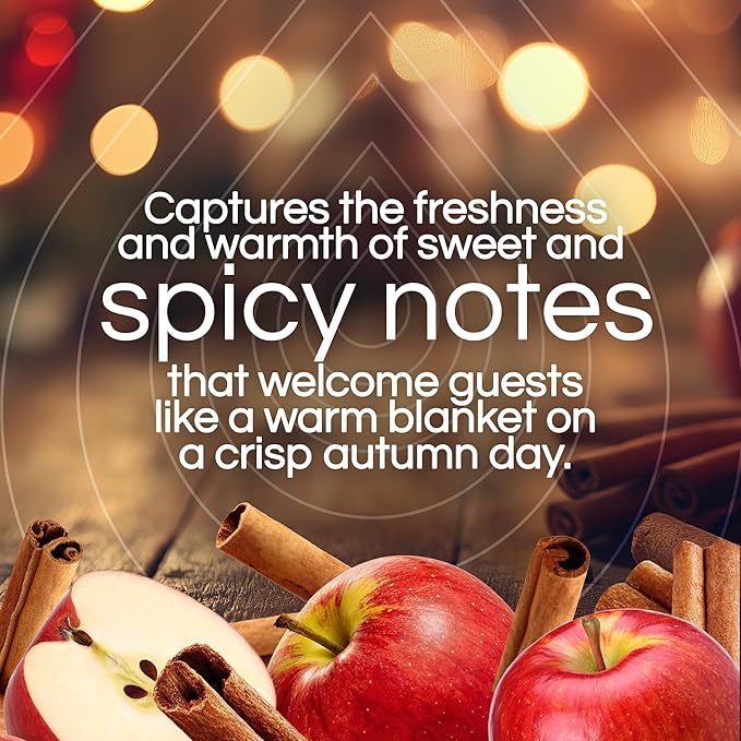 Air Wick Scented Oils 0+10 Apple Cinnamon Medley