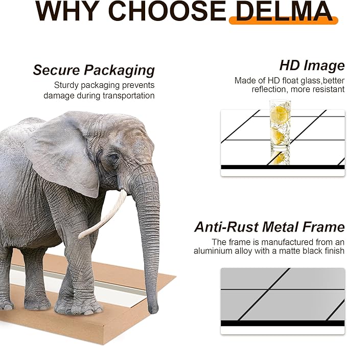 Delma Full Length Mirror, 28"x 55" Window Pane Decorative Mirror for Wall, Black Metal Framed Wall Decor, Wall Mounted, Hanging or Leaning for Bedroom, Living Room, Entryway