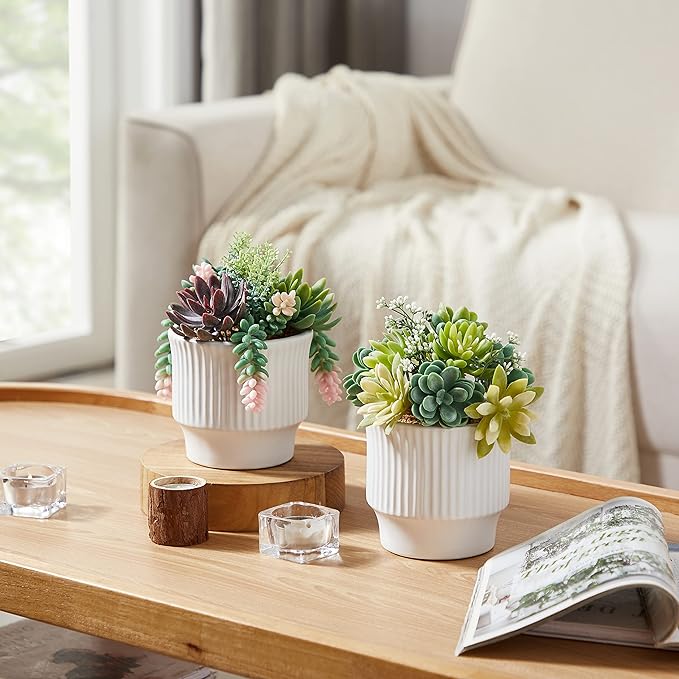 Artificial Succulent Plants, Faux Assorted Succulents Fake Plants in White Ceramic Pots for Home Decor, Bedroom, Office, Desk, Living Room, Set of 2