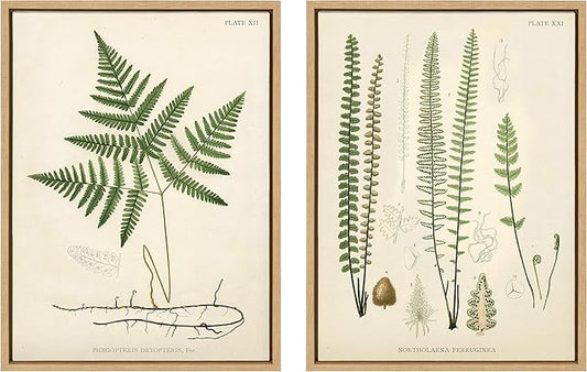 Kate and Laurel Sylvie Ferns 1 and Ferns 2 Set Framed Canvas Wall Art by Corinna Buchholz of Piddix, 2 Piece 18x24 Natural