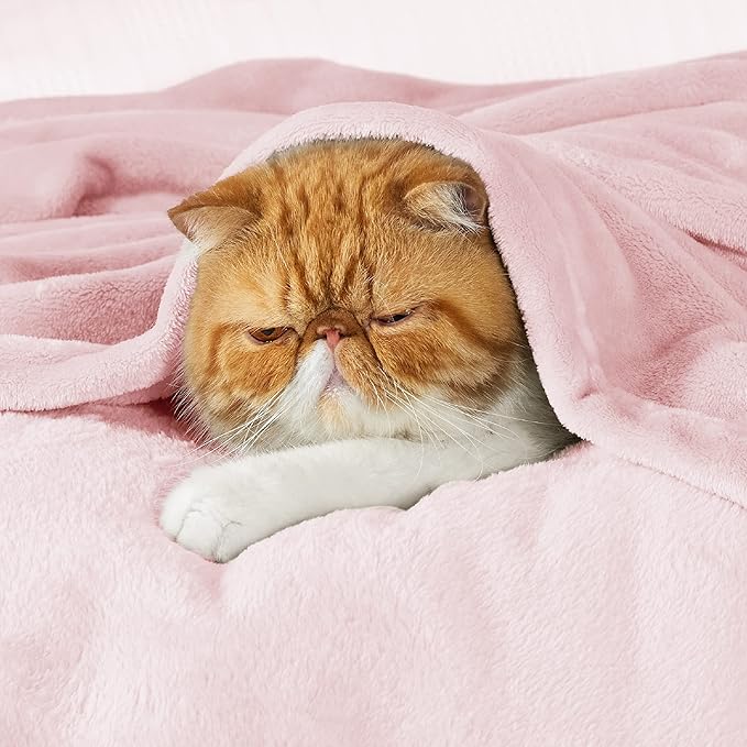 Bedsure GentleSoft Fleece Blanket Twin Size Pink - 300GSM Lightweight Plush Fuzzy Cozy Soft Blanket for Bed, Sofa, Couch, Travel, Camping, 60x80 inches