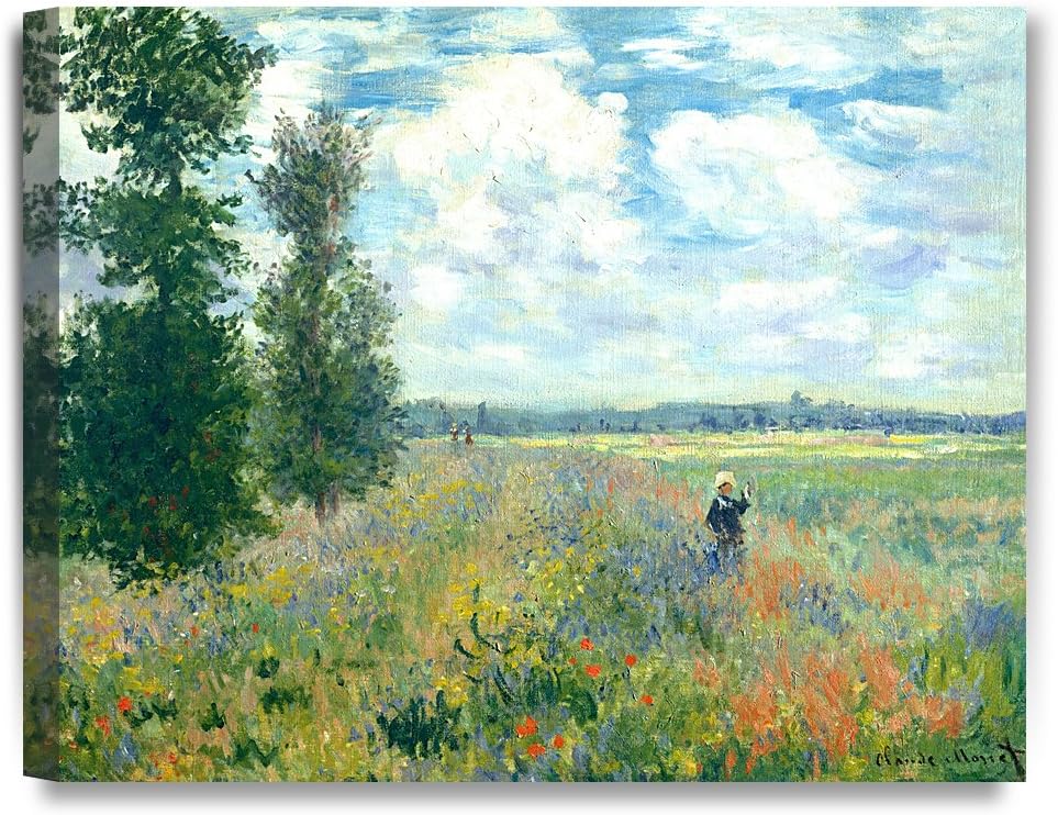 DECORARTS - Poppy Fields near Argenteuil, Claude Monet Art Reproduction. Giclee Canvas Prints Wall Art for Home Decor 20x16