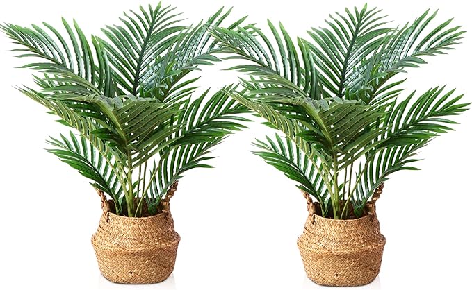 LOMANTO Fake Majesty Palm Plant 2Ft Artificial Plants for Home Decor Indoor Small Faux Trees in Pot Fake Tropical Plants for Housewarming Gift 2Pack