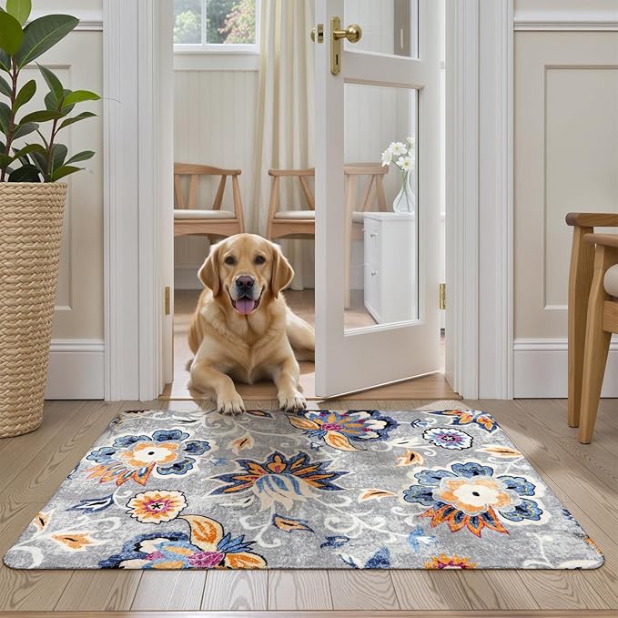 Lahome Floral Indoor Rugs for Entryway - 2x3 Washable Non-Slip Soft Bathroom Rug, Throw Small Area Rug for Bedroom Non-Shedding Grey Paisley Print Doormat Capet for Kitchen Sink Laundry Room Bedside