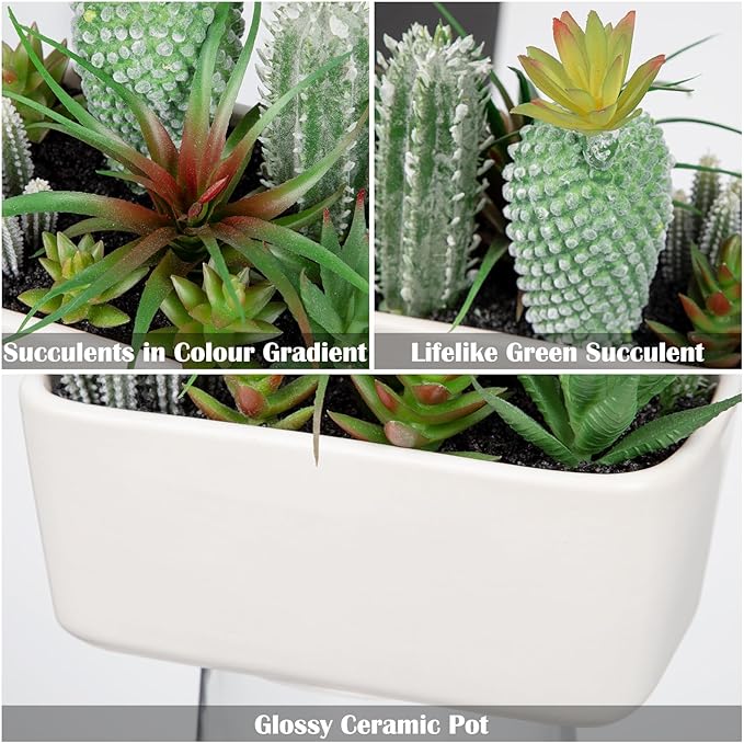Artificial Succulents Plants in Ceramic Planter, Assorted Green Fake Plants in White Pots, Fake Succulents Plants Artificial with Ceramic Potted for Bathroom Home Office Living Room Table Decor