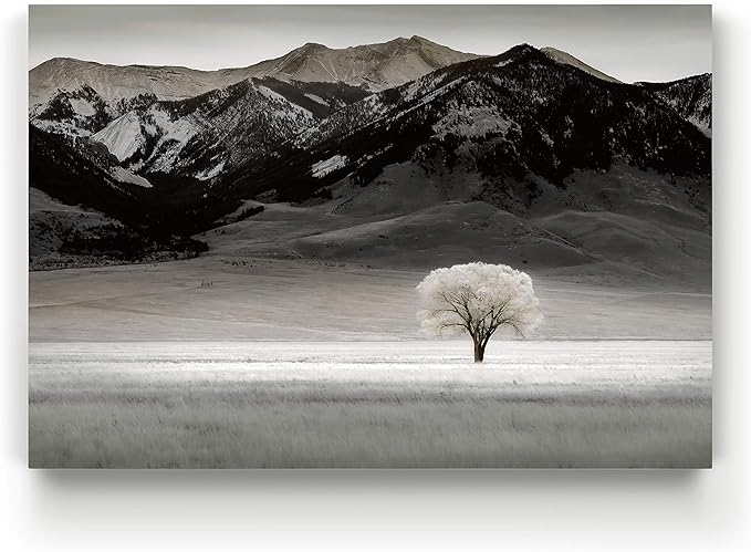 Renditions Gallery Canvas Nature Art Prints for Home Standalone Solitary Tree Black & White Modern Artwork Prints for Bedroom Living Room Office Decor - 32"X48" LT08