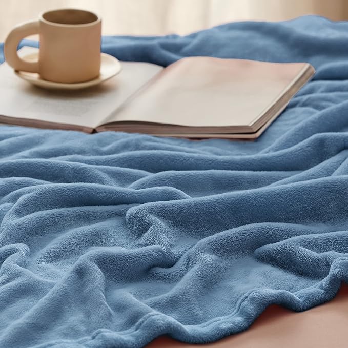Bedsure GentleSoft Fleece Blanket Twin Size Washed Blue - 300GSM Lightweight Plush Fuzzy Cozy Soft Warm Blanket for Bed, Sofa, Couch, Travel, Camping, 60x80 inches