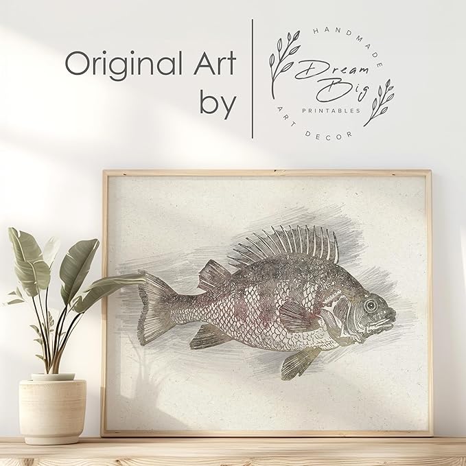 Fish Sketches Wall Art Prints (Set of 6) - 11x14s | Beautifully Detailed Aquatic Artwork for Home or Office Decor | Living Room Decor | Modern Wall Art | Kids' Room Decor | Bedroom Decor