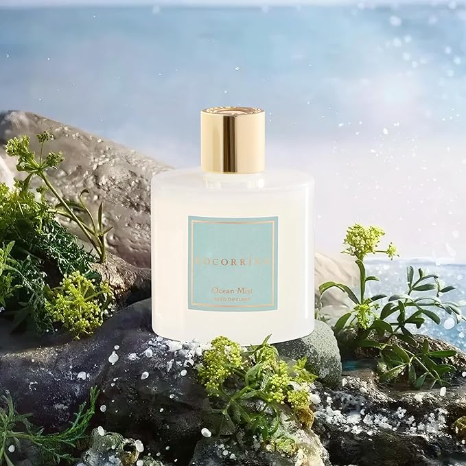 COCORRÍNA Reed Diffuser - Ocean Mist 6.7 Fl.oz Reed Diffuser Set with Sticks & Preserved Baby's Breath, Reed Diffuser for Home Bathroom Shelf Decor