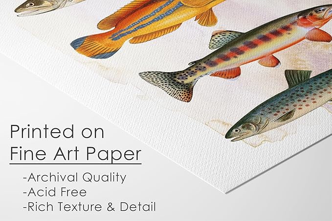 Vintage Fish Art Print - Unframed - 8x10 | Vintage Dcor | Farmhouse Dcor | Bathroom Dcor Wall Art | Kitchen Wall Dcor | Kitchen Wall Art