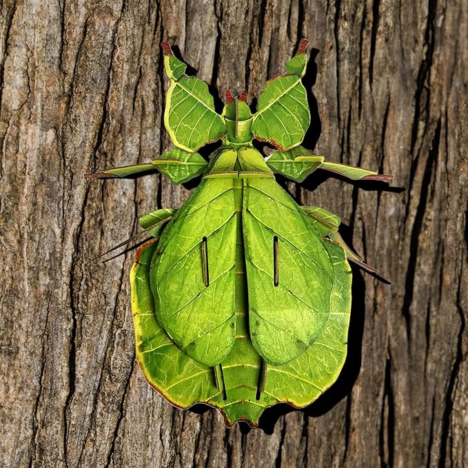 STEM 3D Paper Puzzles Fidget Toys and Sensory Toys for Kids and Toddlers - Autism and ADHD Educational Birthday Puzzles (Phyllium)