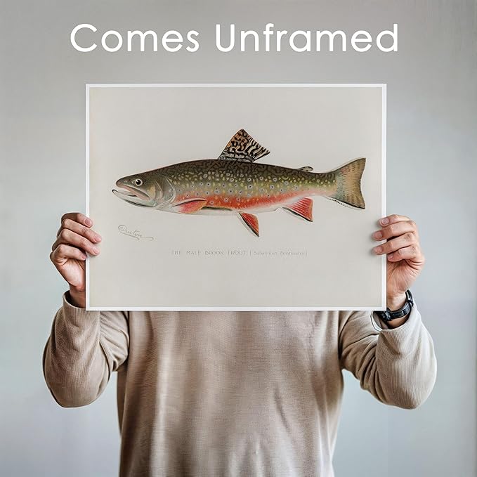 DREAM BIG PRINTABLES Vintage Fish Wall Art Prints (Set of 6) - Unframed - 11x14s | Fishing Décor | Vintage Decor | Kitchen Wall Art | Kitchen Wall Decor