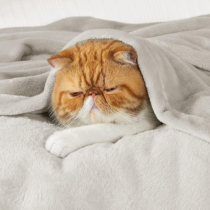 Bedsure GentleSoft Fleece Bed Blankets Full Size Linen - Soft Lightweight Plush Fuzzy Cozy Luxury Blanket Microfiber, 84x90 inches