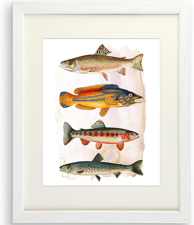 Vintage Fish Art Print - Unframed - 11 x 14 | Vintage Dcor | Farmhouse Dcor | Bathroom Dcor Wall Art | Kitchen Wall Dcor | Kitchen Wall Art