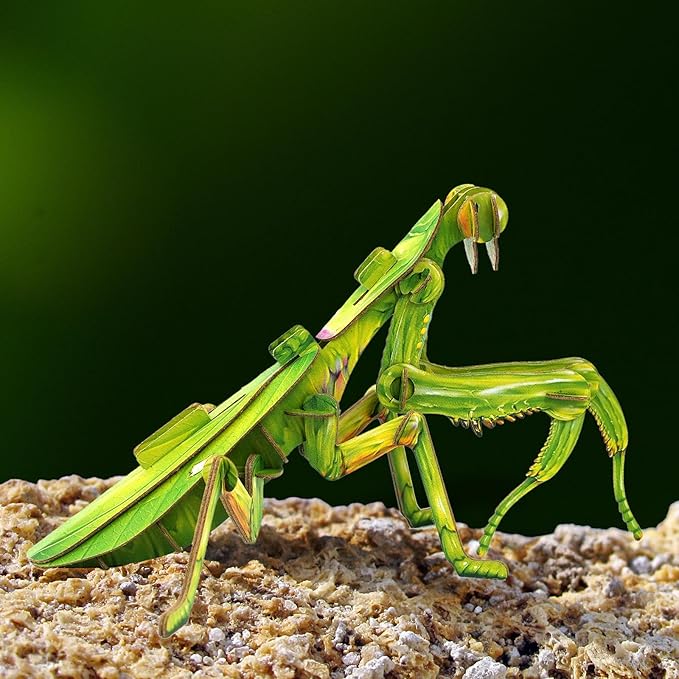 3D Paper Puzzle, Eco-Friendly Educational Learning Puzzles for Kids 7years+