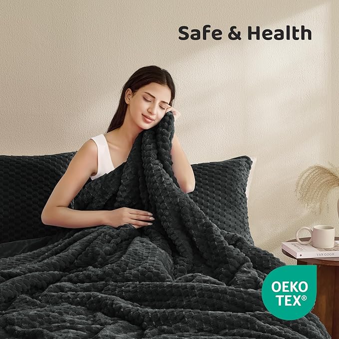 Petrichor Fluffy Queen Comforter Set - Ultra-Soft Black Flannel Thick Comforter for Queen Bed, Luxury Warm Bedding Set for Winter & Fall, Cozy Fuzzy Bed Set 3 Pieces (1 Comforter & 2 Pillowcases)