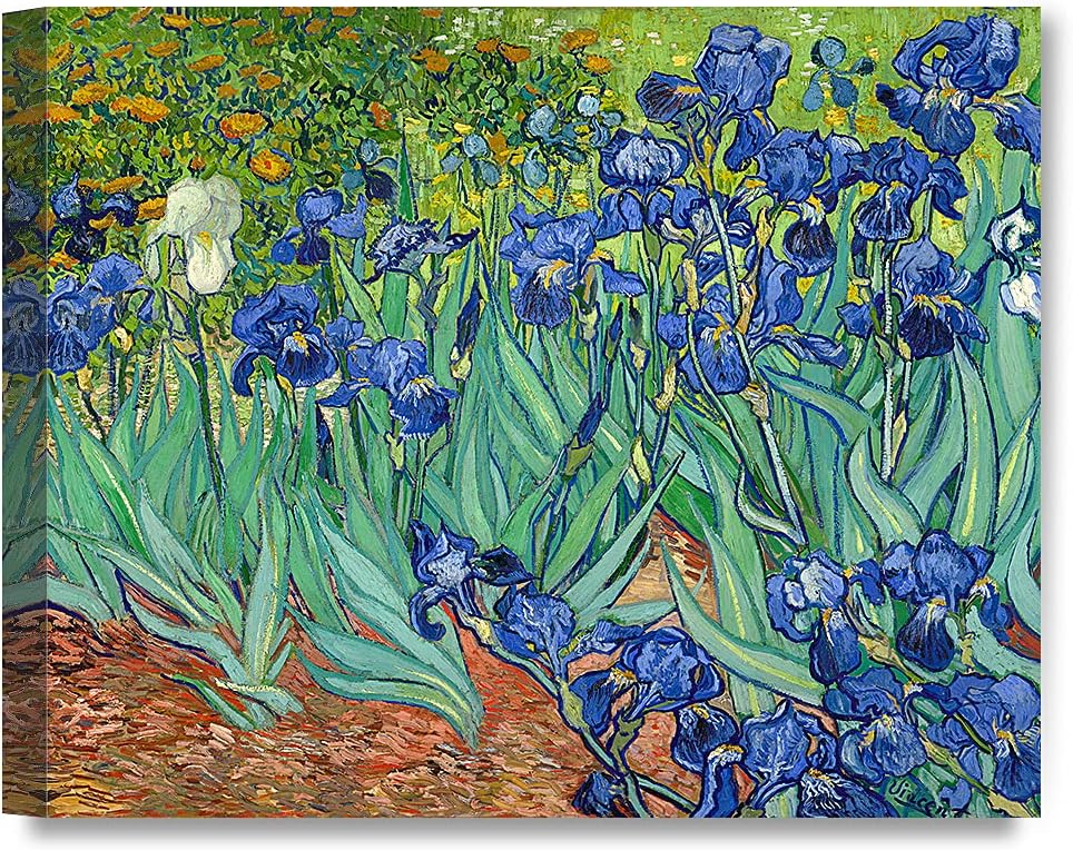 DECORARTS - Irises in the Garden, Vincent Van Gogh Art Reproduction. Giclee Canvas Prints Wall Art for Home Decor 30x24