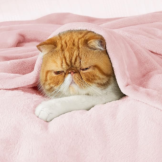 Bedsure GentleSoft Bedding Fleece Blanket for Girls and Boys - Soft Cozy Cute Small Throw Blankets for Travel, 43x55 Inches, Pink