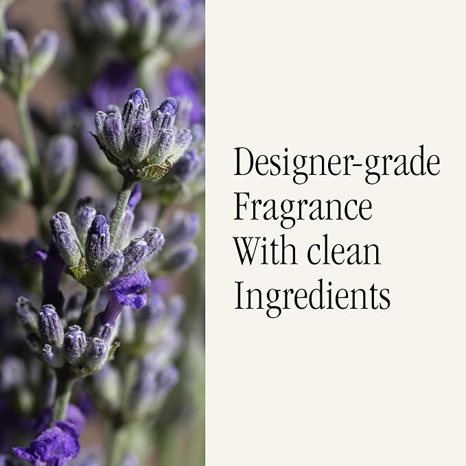 Pura & Brooklyn Candle Studio Home Scent Refill - Smart Home Air Diffuser - Up to 120-Hours of Luxury Fragrance per Refill - Home Essential - Clean & Safe Diffuser Fragrance - 2 Pack, Love Potion