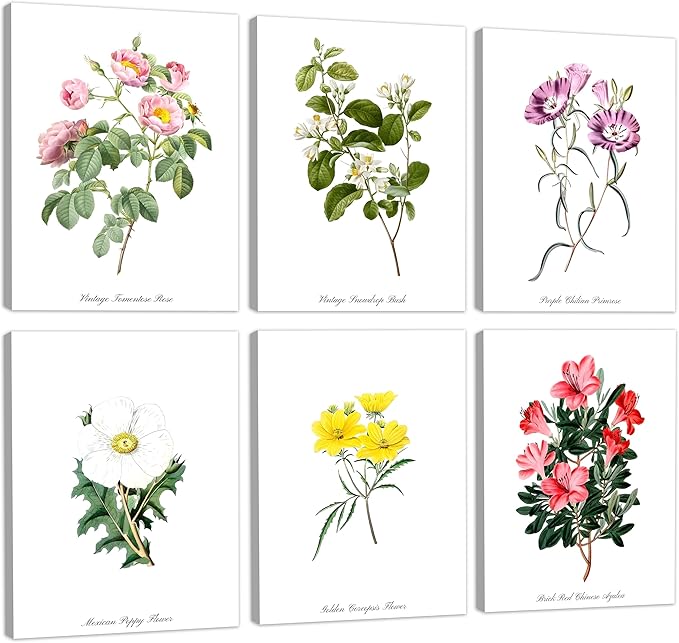 COSCTOR Set of 6 Botanical Floral Wall Art Decor Vintage Flower Market Canvas Framed 6 Pieces Green Plant Sage Minimalist for Bedroom Living Room Bathroom Hallway Home Decoration(Framed, 12x16)