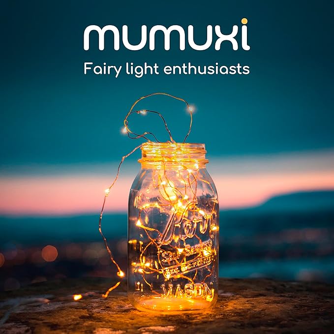 MUMUXI 24 Pack 7.2ft Fairy Lights Battery Operated String Lights, 20 Mini Battery Powered LEDs for Centerpiece Table Decorations, Wedding Party Bedroom Mason Jar Christmas, Warm White