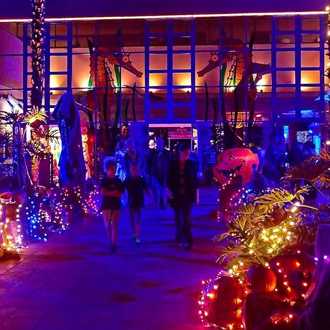 Dazzle Bright Orange Fairy String Lights, 4 Pack Total 80FT 240LED Copper Wire Battery Operated Waterproof Lights, Halloween Decorations for Indoor Home Outdoor Patio Yard Party Decor