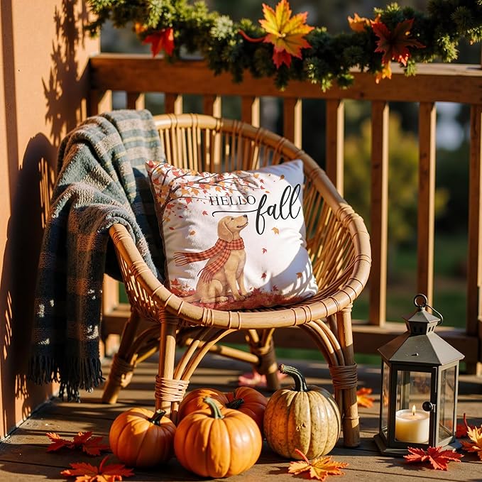 Hello Fall Dog Pillow Covers 18x18, Farmhouse Autumn Decor,Fall Autumn Maple Leaves Decorative Throw Pillow Covers for Home Bedroom Living Room,Dog Lover Gifts