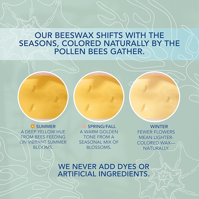 Coastal Breeze - Yuzu & Sea Salt Pure Beeswax Candle – 90+ Hours Long Burning Classically Designed Non-Toxic Scented Candles for Home Decor with Natural Fragrance 15 oz