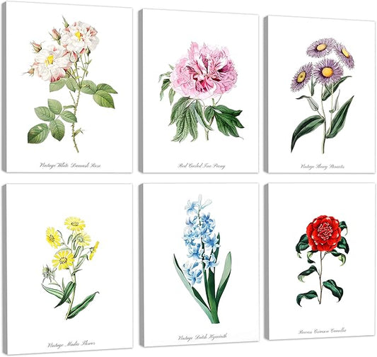 COSCTOR Set of 6 Botanical Floral Wall Art Decor Vintage Flower Market Canvas Framed 6 Pieces Green Plant Sage Minimalist for Bedroom Living Room Bathroom Hallway Home Decoration(Framed, 12x16)
