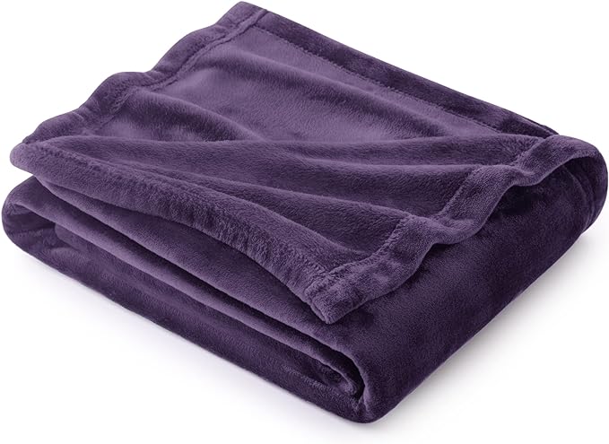 Bedsure GentleSoft Fleece Blanket Twin Size Purple - 300GSM Lightweight Plush Fuzzy Cozy Soft Warm Blanket for Bed, Sofa, Couch, Travel, Camping, 60x80 inches
