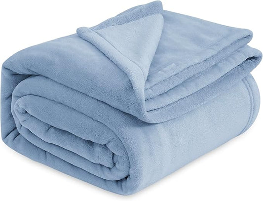 Bedsure GentleSoft Fleece Bed Blankets Queen Size Light Blue - Soft Lightweight Plush Fuzzy Cozy Luxury Blanket Microfiber, 90x90 inches