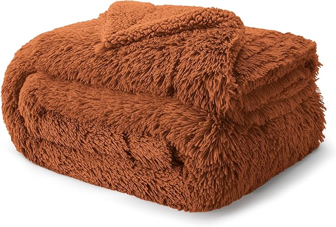 Bedsure GentleSoft Fluffy Burnt Orange Blankets Queen Size for Bed, Cozy Thick Sherpa Faux Fur Fleece Fuzzy Plush Winter Warm Soft Full Queen Blankets, Bedroom Decor Orange Gifts for Women Men, 90x90