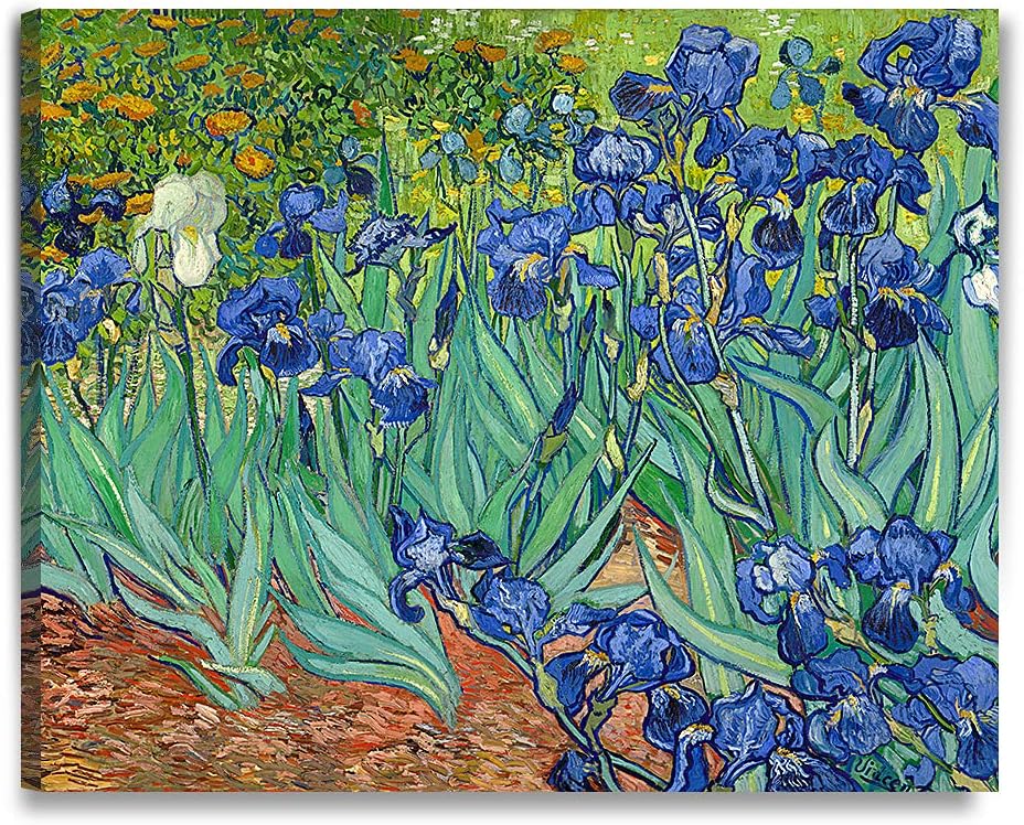 DECORARTS - Irises in the Garden, Vincent Van Gogh Art Reproduction. Giclee Print on Canvas. Wall Art for Home. 40x32