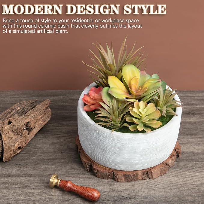 Artificial Succulent Plants Potted Indoor with Ceramic Pot - Fake Low Maintenance Plants for Bedroom, Bathroom, Coffee Table Decor - Home Office Desk & Room Aesthetics