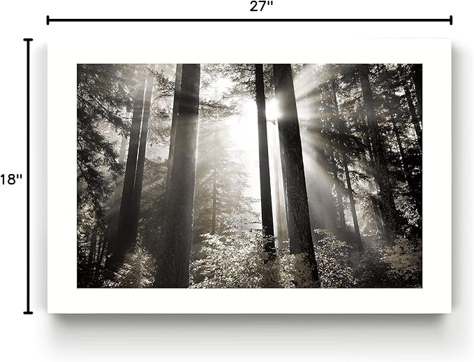 Renditions Gallery Canvas Nature Wall Art Landscape View of Morning Light coming through Forest Trees Modern Artwork for Living Room Kitchen Walls - 18"X27" LT08