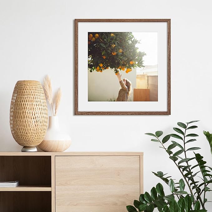 16x16 Picture Frames, Solid Oak Wood Photo Frame 16 by 16, Rustic Wooden Square Picture Frame with Tempered Real Glass, 16 x 16 Square Frame Matted to 12 x 12, Walnut Color, Set of 2