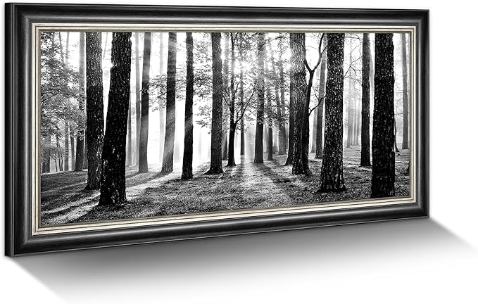 Black and White Forest Canvas Art: Framed Tree Sunshine Wall Painting Nature Foggy Landscape Prints for Living Room