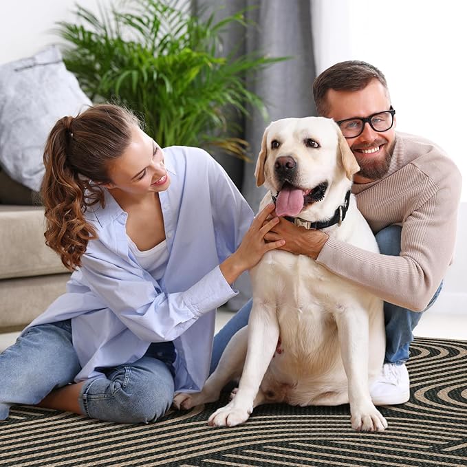 Lahome Modern Geometric Black Runner Rug, 2x8 Indoor Outdoor Hallway Kitchen Runner Rug with Rubber Backing, Farmhouse Washable Non Slip Non Shedding Floor Carpet for Bedroom Entry Patio