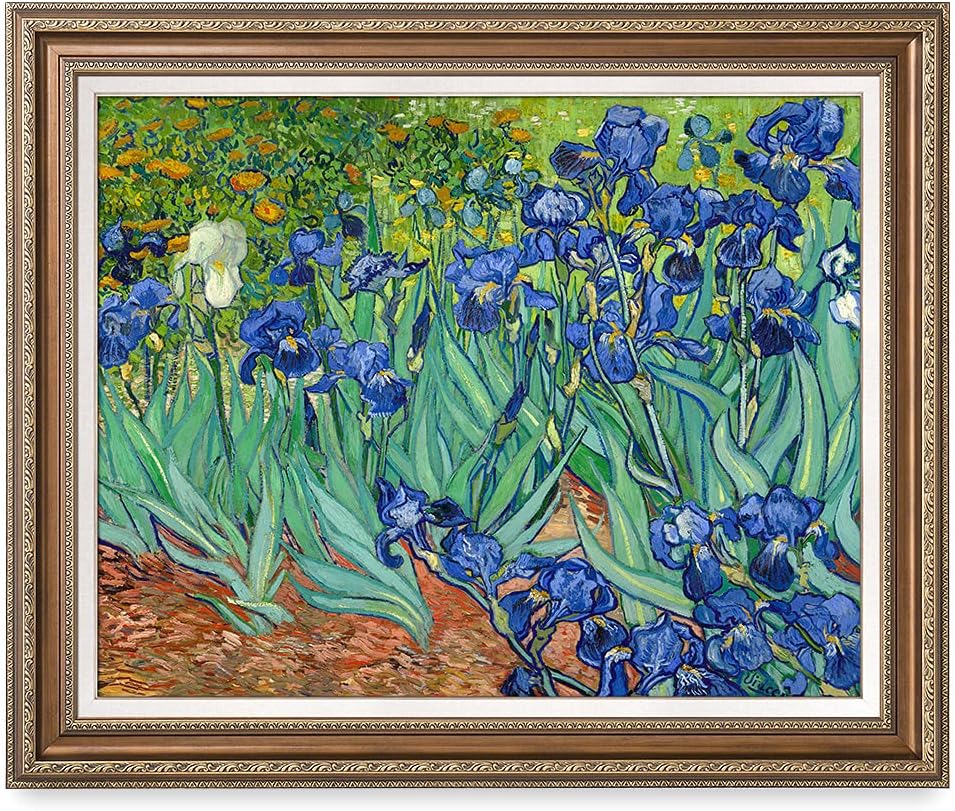DECORARTS - Irises in the Garden, Vincent Van Gogh Art Reproduction. Acid Free Cotton Canvas Giclee Print w/Bronze Frame&Mat for Wall Decor.