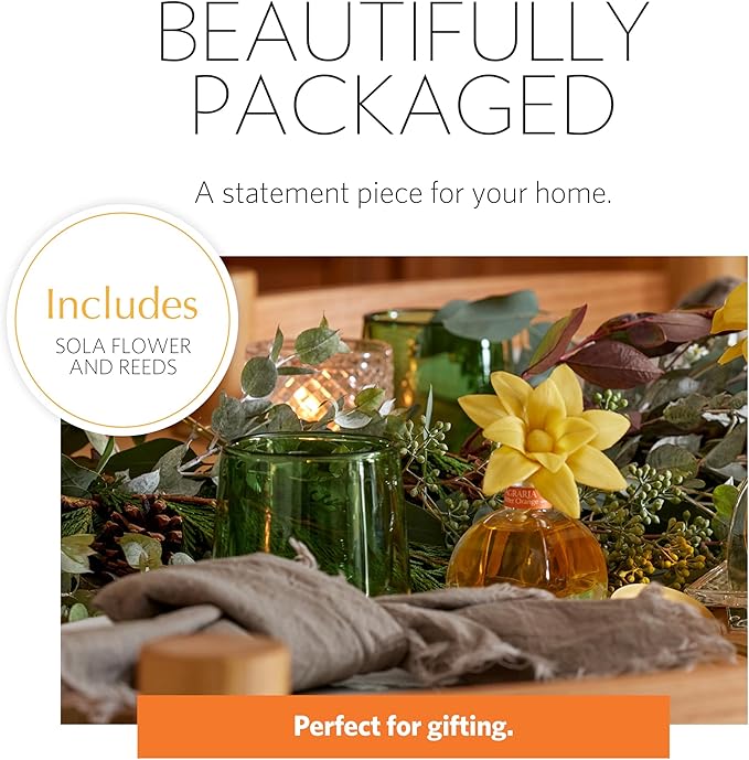 AGRARIA PetiteEssence Flower and Reed Diffuser Set, Hand Crafted Sola Flower Botanical Home Fragrance Set, Scented Oil Gift for All Occasions