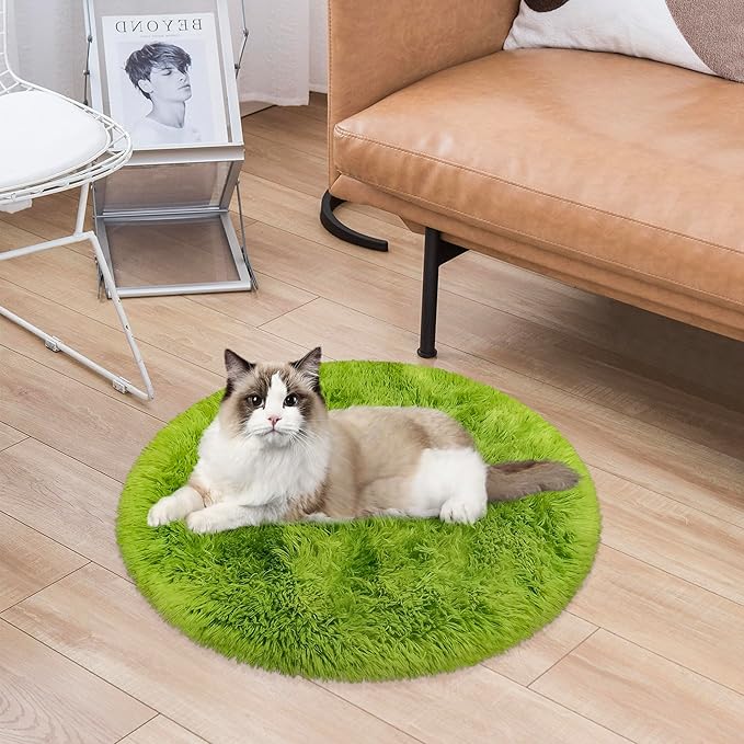 Tie Dye Green Round Rugs Small 2x2 ft Fluffy Circle Rug Furry Carpet Shaggy Circular Fuzzy Plush Area Rug for Girls Bedroom Kids Room Nursery Cute Room Decor Chair Cushion Pet mat Doormat