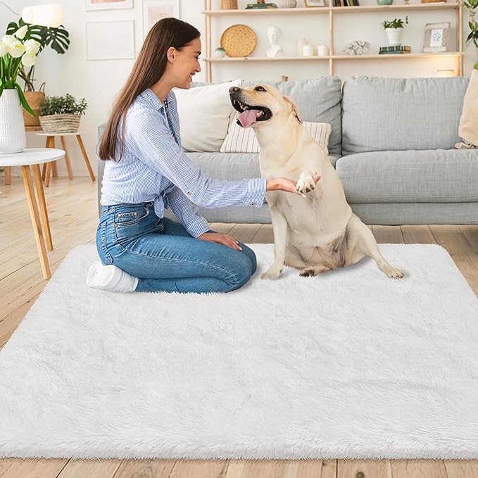 Small Area Rug for Bedroom 3x5ft Mini White Fluffy Rug Mat Bedside Throw Rug for Kids Room Boys Teens Nursery Baby Dorm Living Room Home Decor Aesthetic Carpets