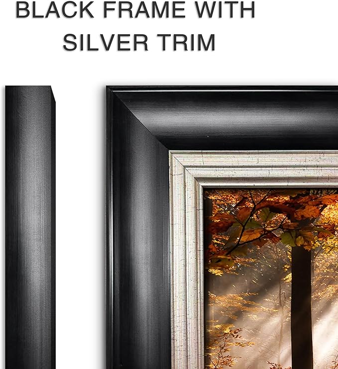 Framed Birch Tree Canvas Wall Art: Nature Forest Print Painting Autumn Landscape Artwork for Living Room Bedroom