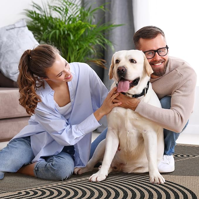 Lahome Modern Rainbow 2x8 Runner Rug, Washable Hallway Kitchen Runner Rugs with Rubber Backing Farmhouse Indoor Outdoor Carpet, Contemporary Non Slip Carpet for Entry Bedroom Porch