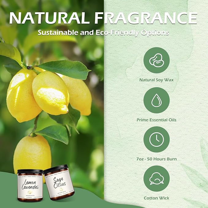 Auelife Scented Candles Set | Scented Candle for Home - 4 Pack Candle Gifts, Soy Candles for Home - Aromatherapy Gift of Mint Eucalyptus/Lemon Lavender/Sage Citrus/Vetiver Musk