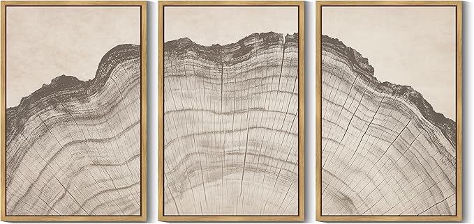 KUVIOKE Boho Vintage Antique Tree Wall Art Framed Neutral Retro Tree Rings Wood Prints Rustic Nature Illustrations Bedroom Living Room 24x36in (Natural Framed)