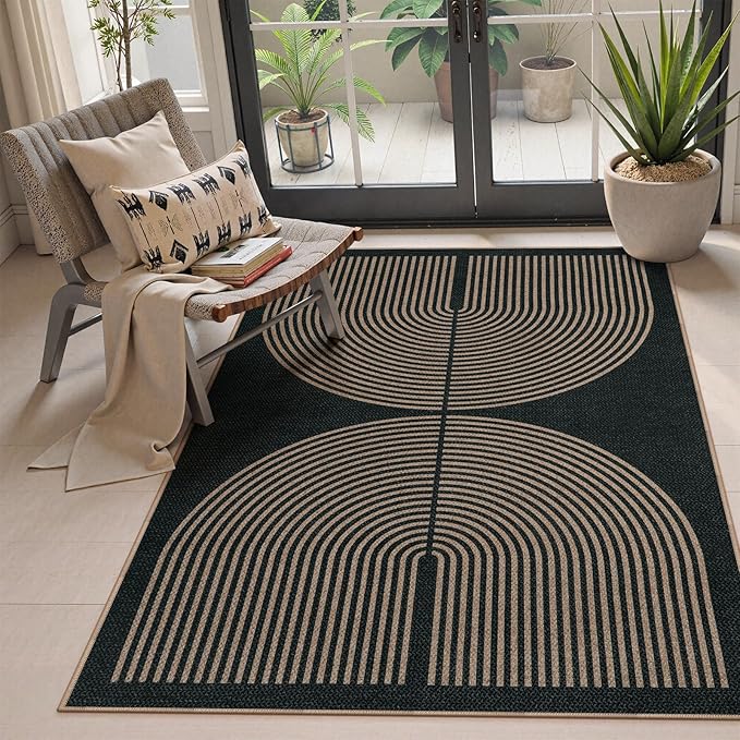 Lahome Modern Rainbow Easy Jute 4x6 Rug, Outdoor Patio Rug for Living Room Washable Black Carpet for Bedroom, Contemporary Non Slip Non Shedding Floor Carpet for Office Backyard